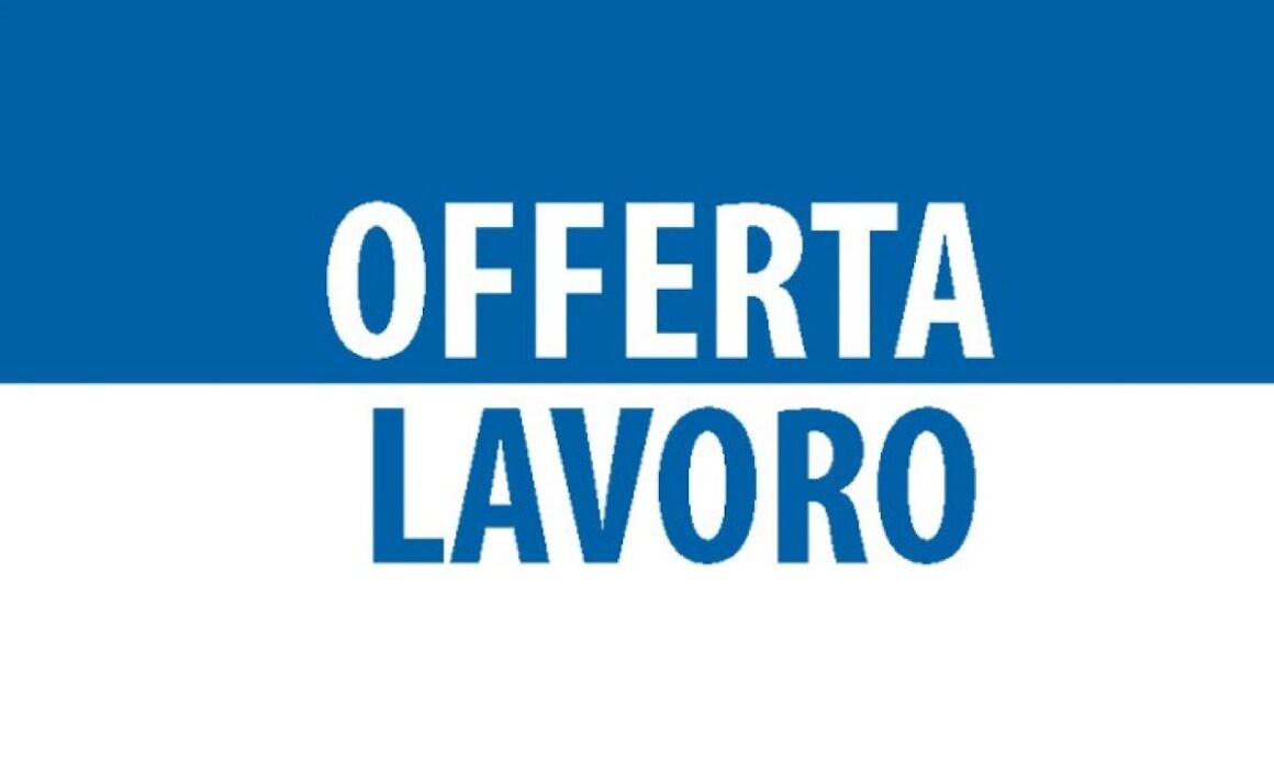 Lavoro: quali lauree e diplomi serviranno da qui al 2024 | CCSNews
