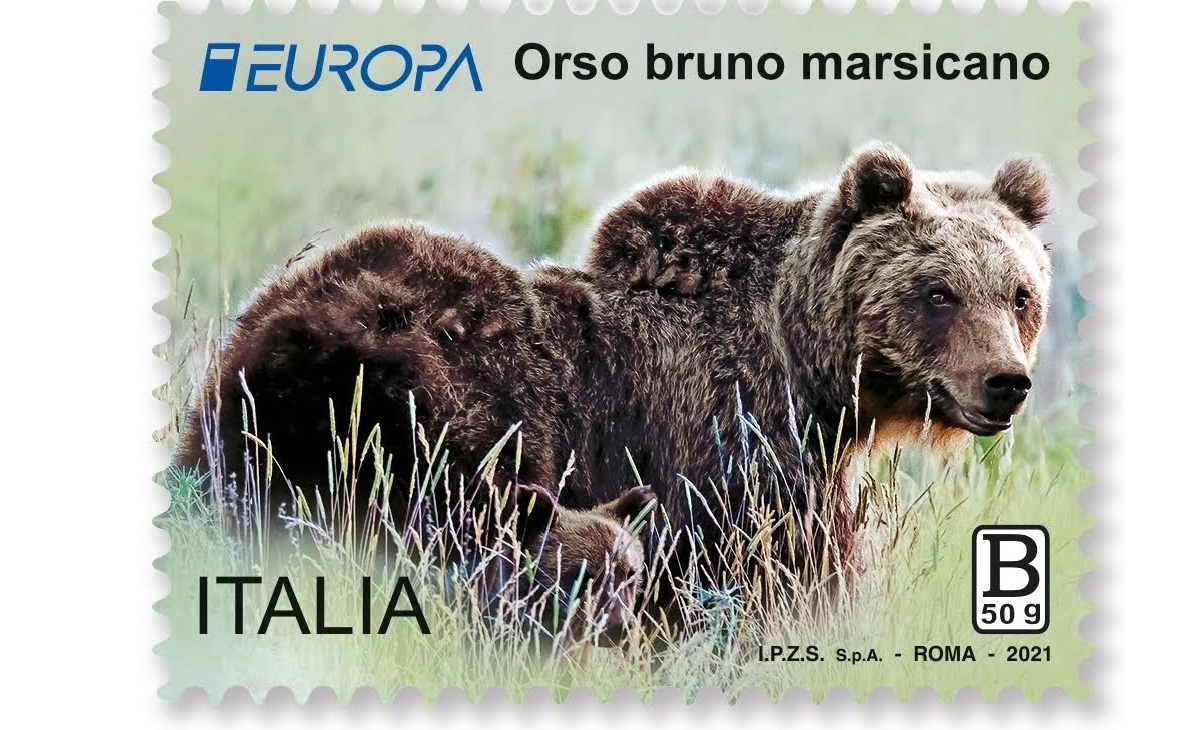 Prezzo del Francobollo Orso Bruno marsicano