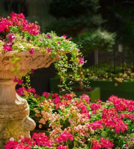 Bonus verde 2023, un giardino fiorito