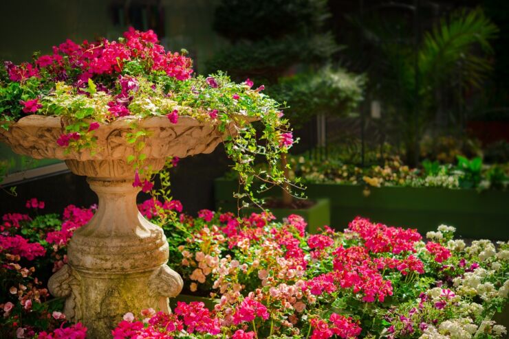 Bonus verde 2023, un giardino fiorito