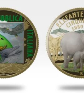 5 euro 2023 Elefante africano