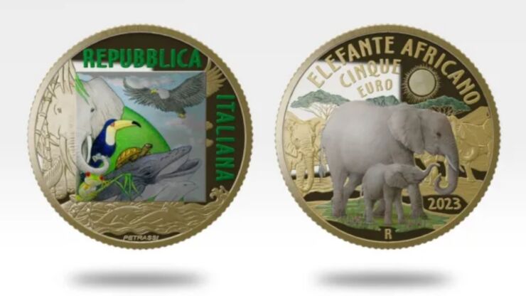 5 euro 2023 Elefante africano