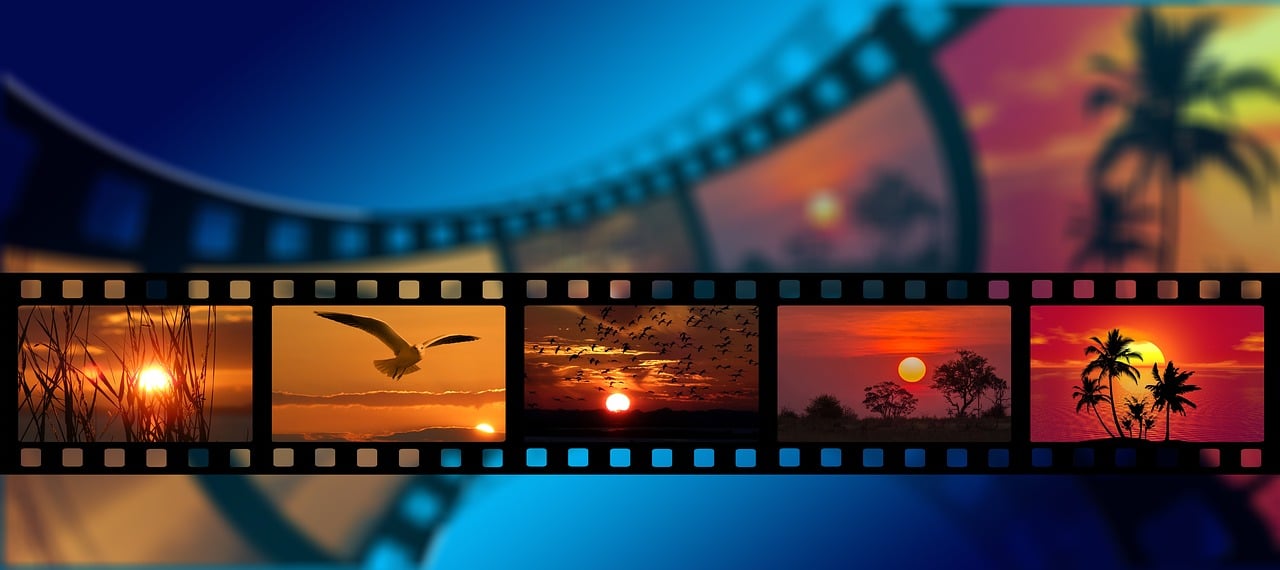 bonuscinema