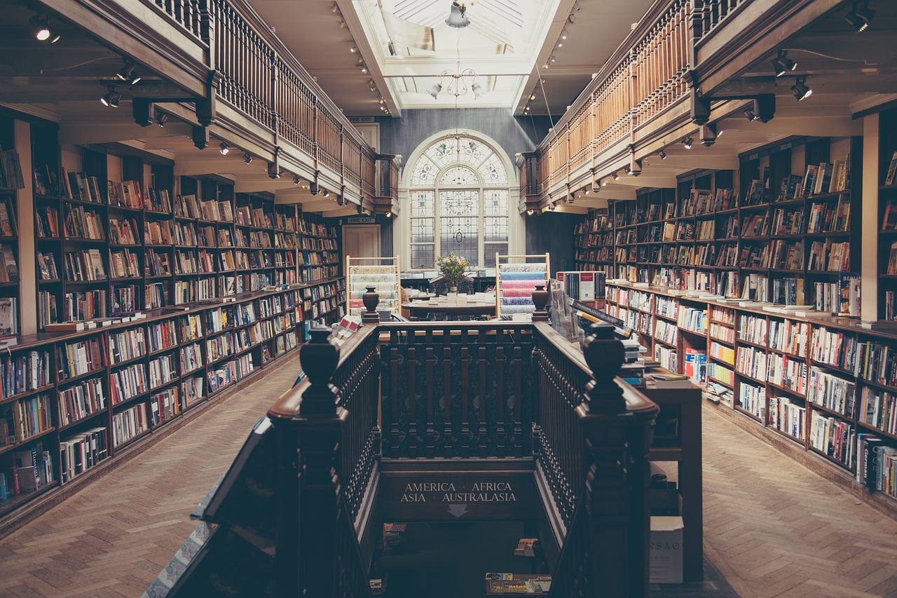 cambia il reddito di cittadinanza, una libreria